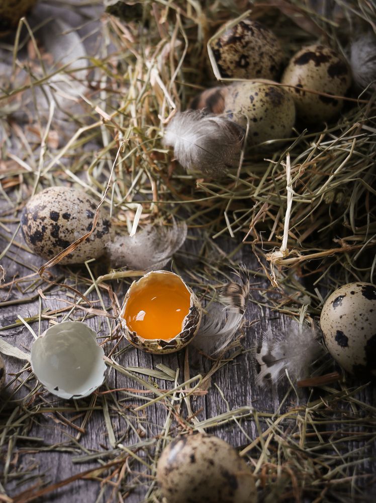 Photograph by Юлия Гудкова