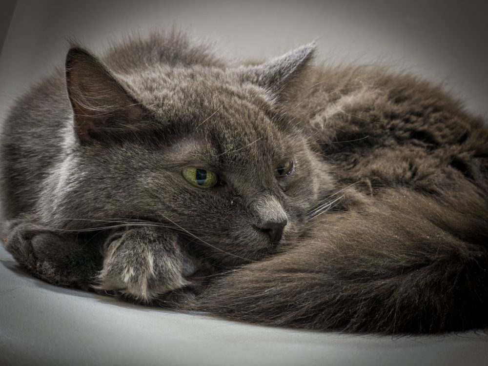 Photograph by Евгений Порсов