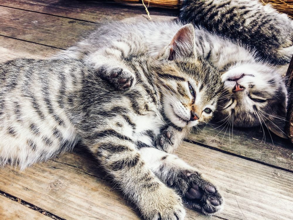 Photograph by Евгений Порсов