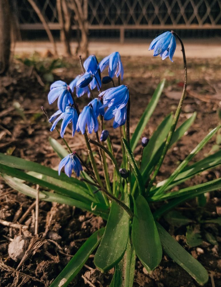 Photograph by Александра Пургаева