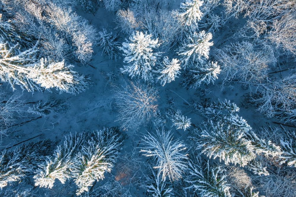 Photograph by Евгений Порсов