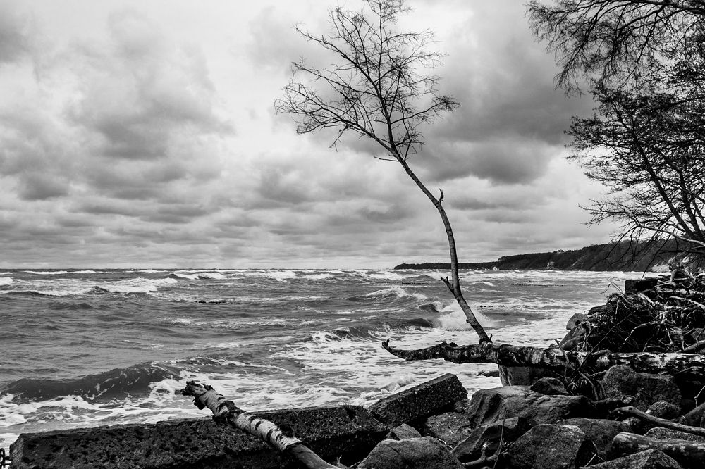 Photograph by Наталья Фомина