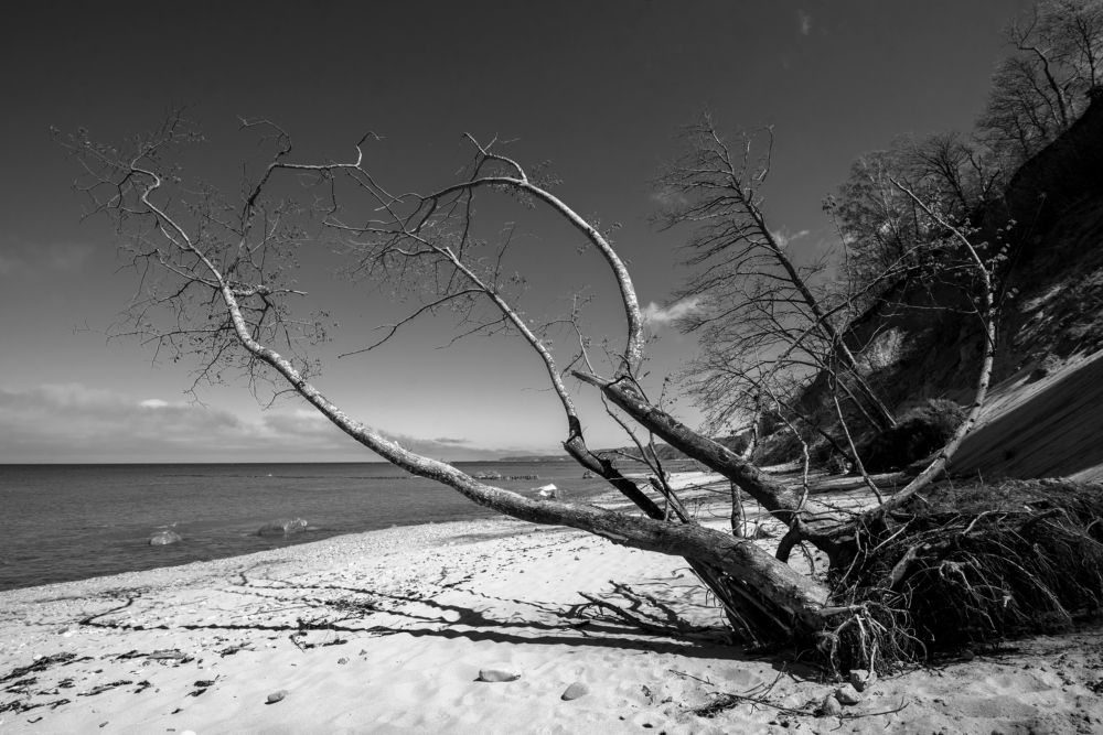 Photograph by Наталья Фомина