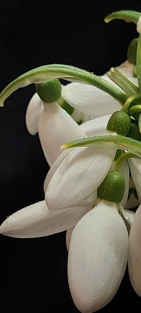 Photograph by Светлана Усатенко