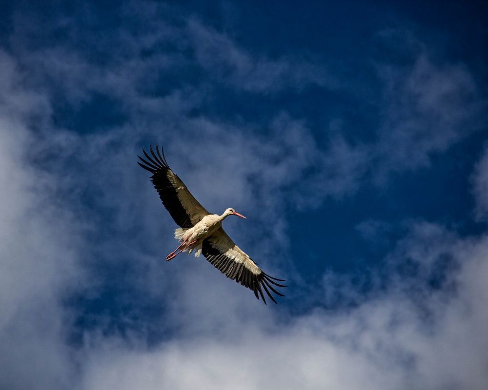 Photograph by Майя Полещук