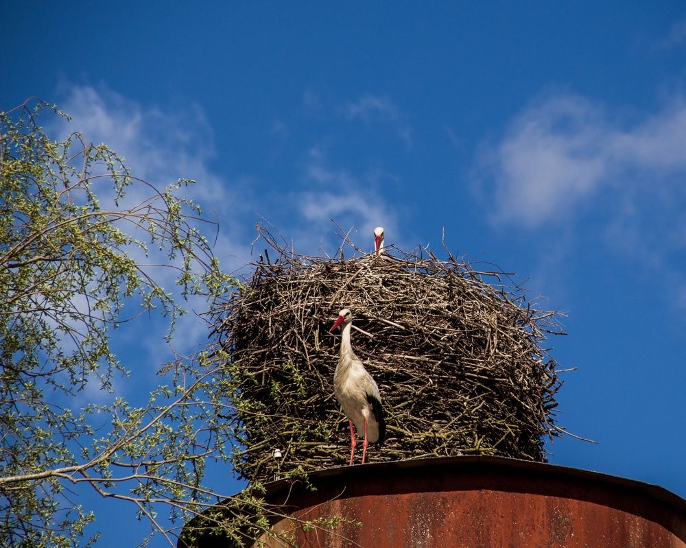 Photograph by Майя Полещук