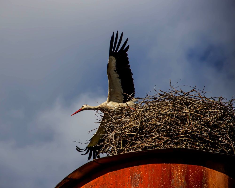 Photograph by Майя Полещук