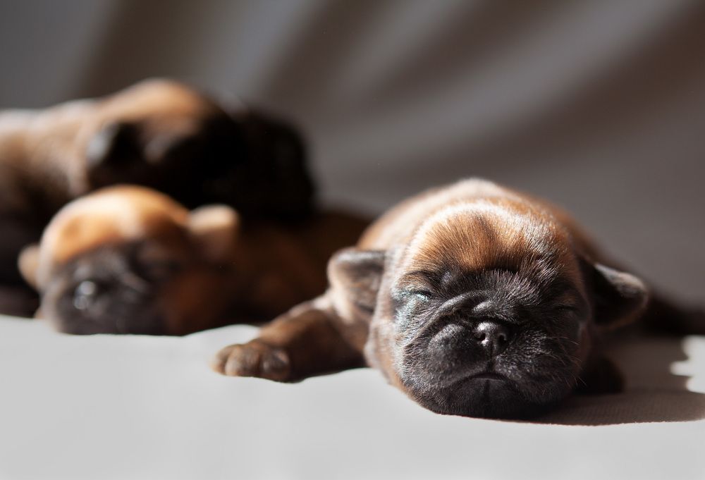 Photograph by Ольга Сафонова