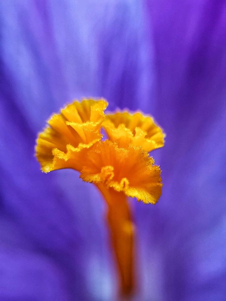 Photograph by Евгения Алексеева