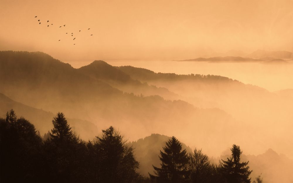 Photograph by arastoo qadermazi