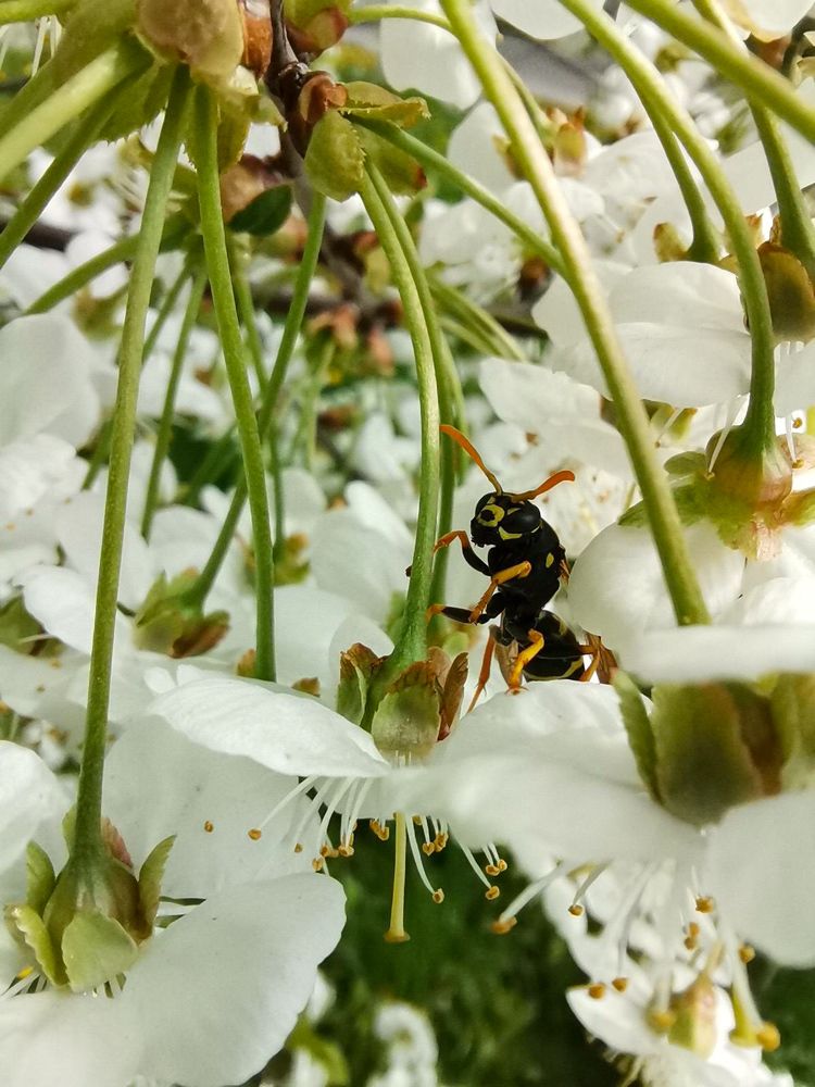 Photograph by Natalia