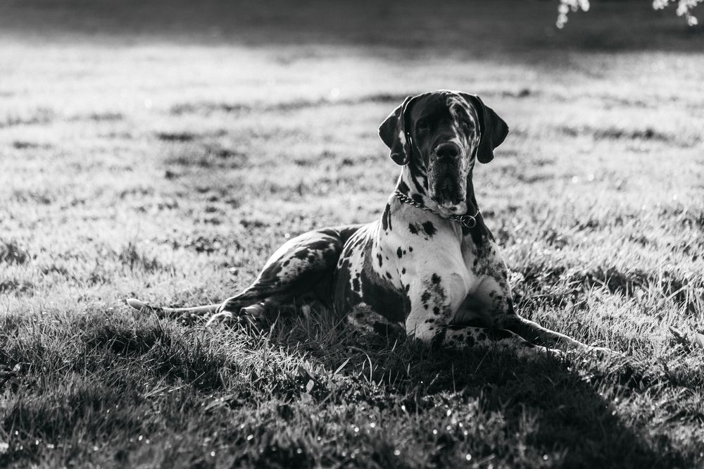 Photograph by Антон Ляпунов