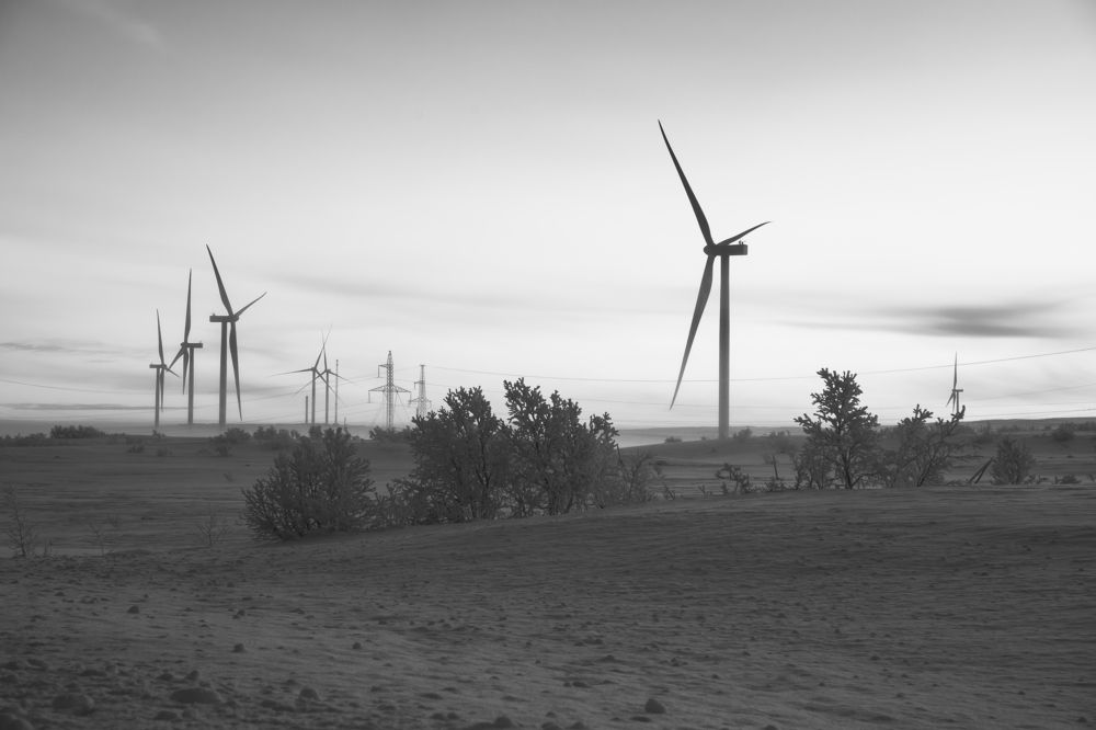 Photograph by Юлия Лазебная