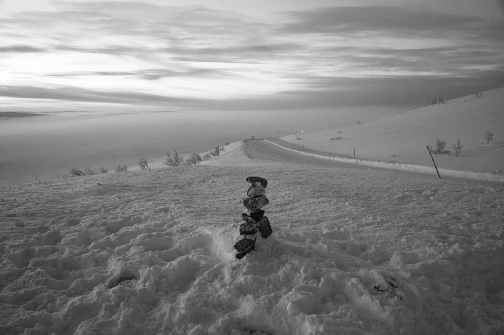 Photograph by Юлия Лазебная