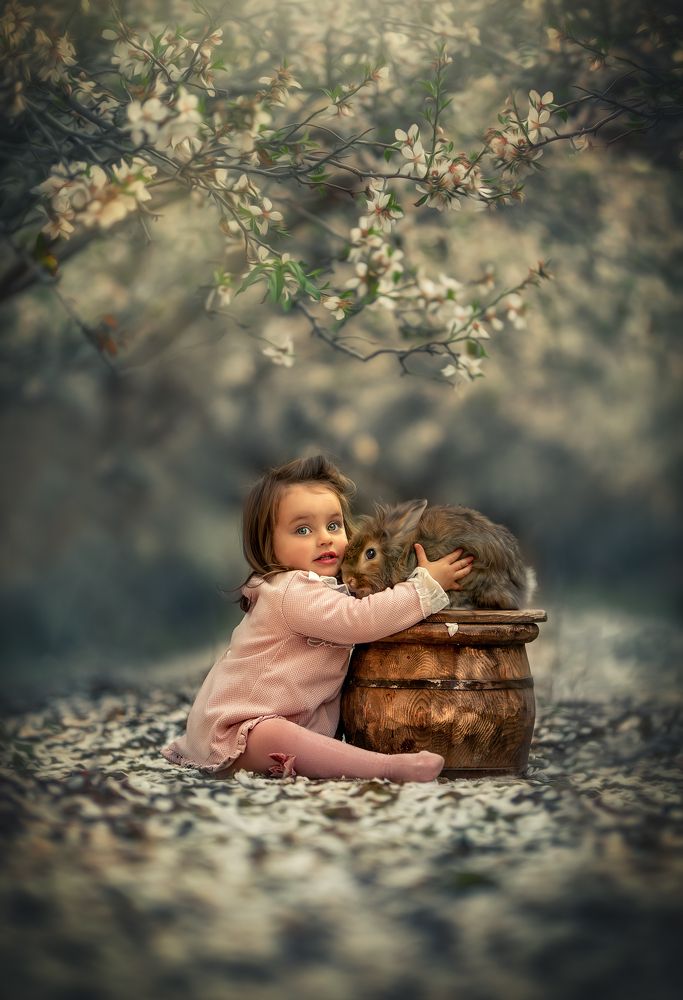 Photograph by yarden kaplan