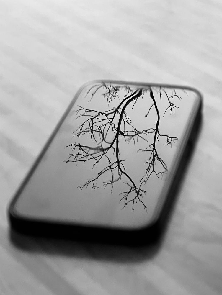 Photograph by Irina Studenyak