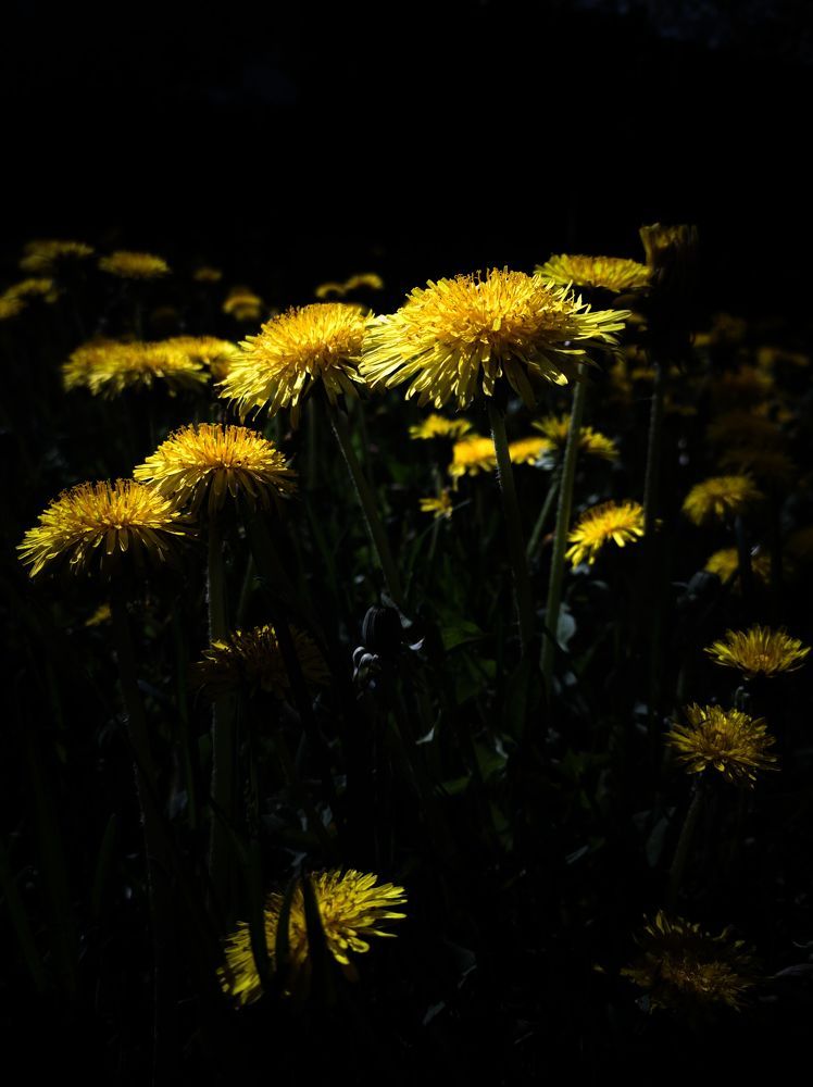 Photograph by Усевалад Куліш