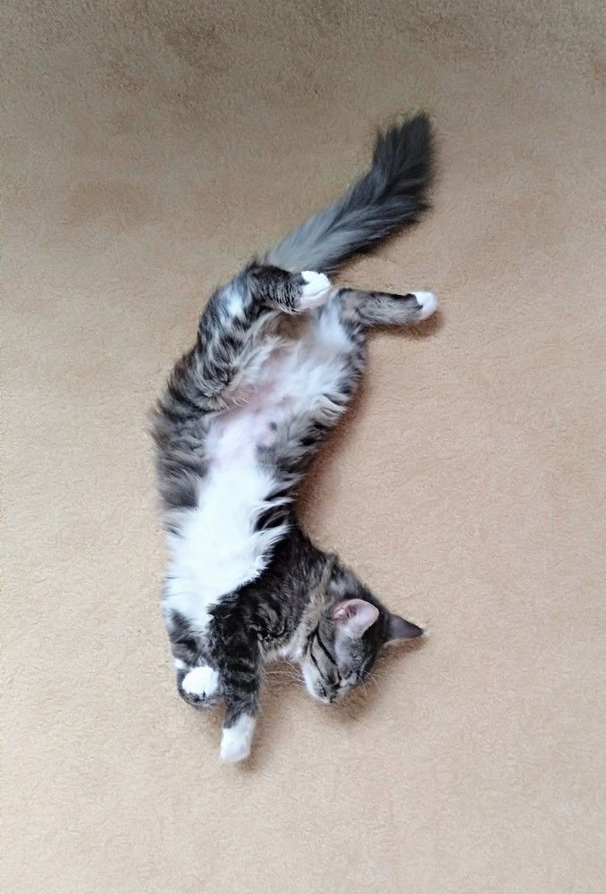 Photograph by Юлия Митюрникова