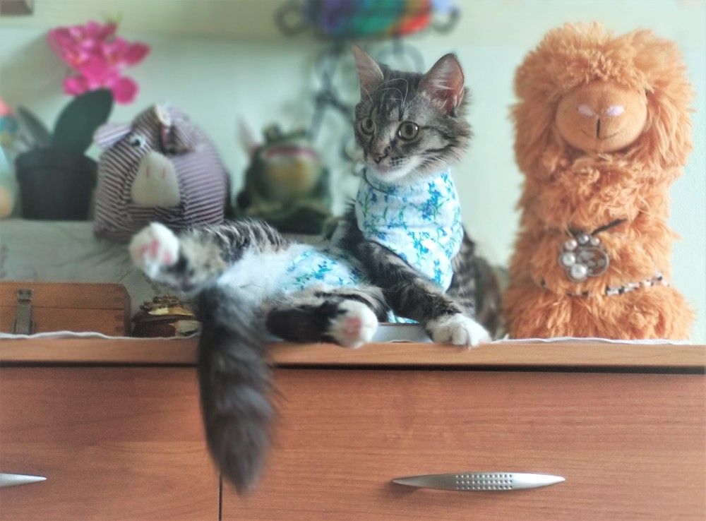 Photograph by Юлия Митюрникова