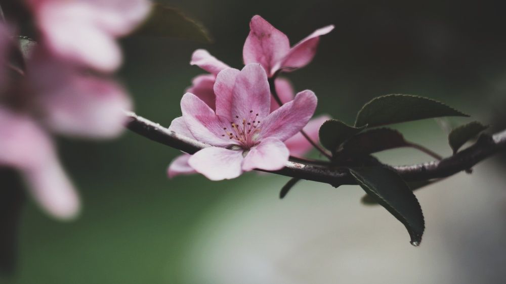 Photograph by Алёна Бондаренко