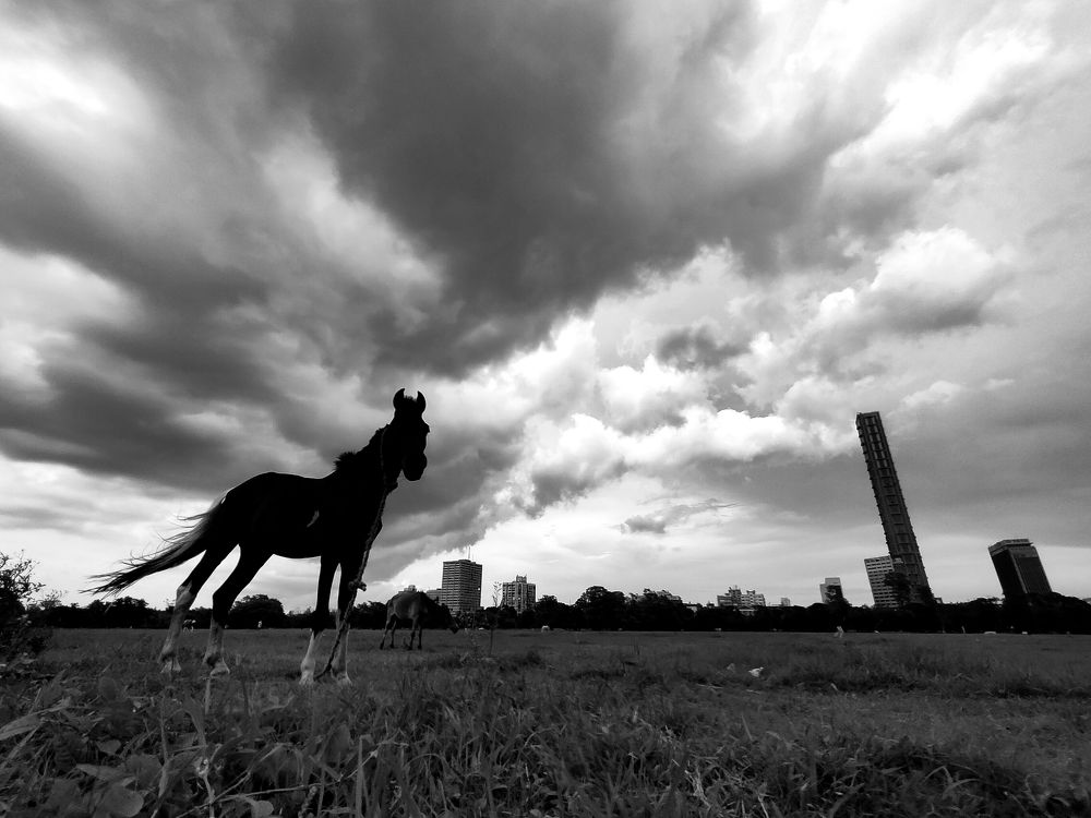 Photograph by Gourav Rai