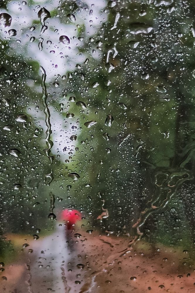 Photograph by Gourav Rai