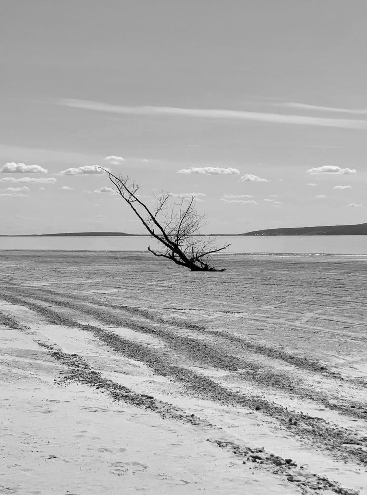 Photograph by Яна Полякова