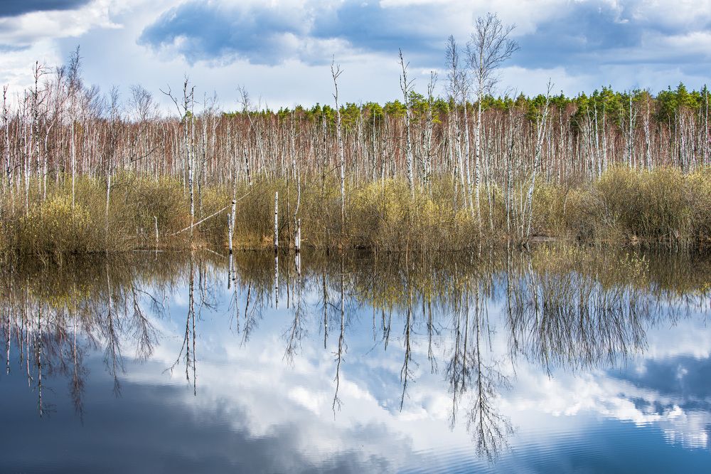 Photograph by Alvils Baltins