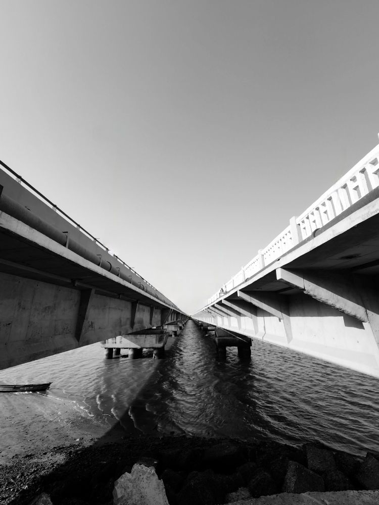 Photo #7577566