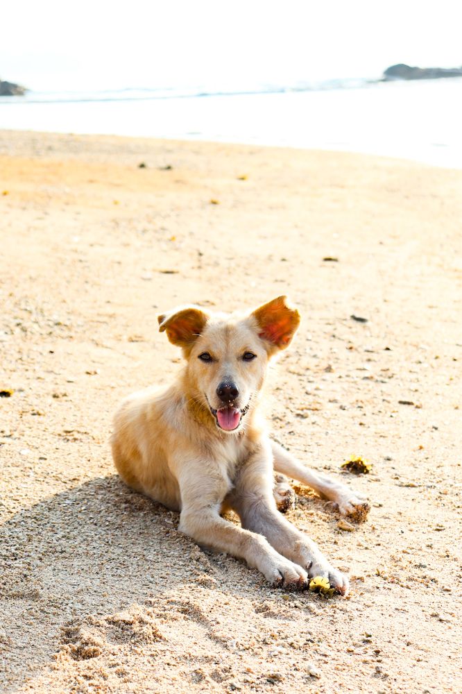 Photograph by Hemsith Meepage