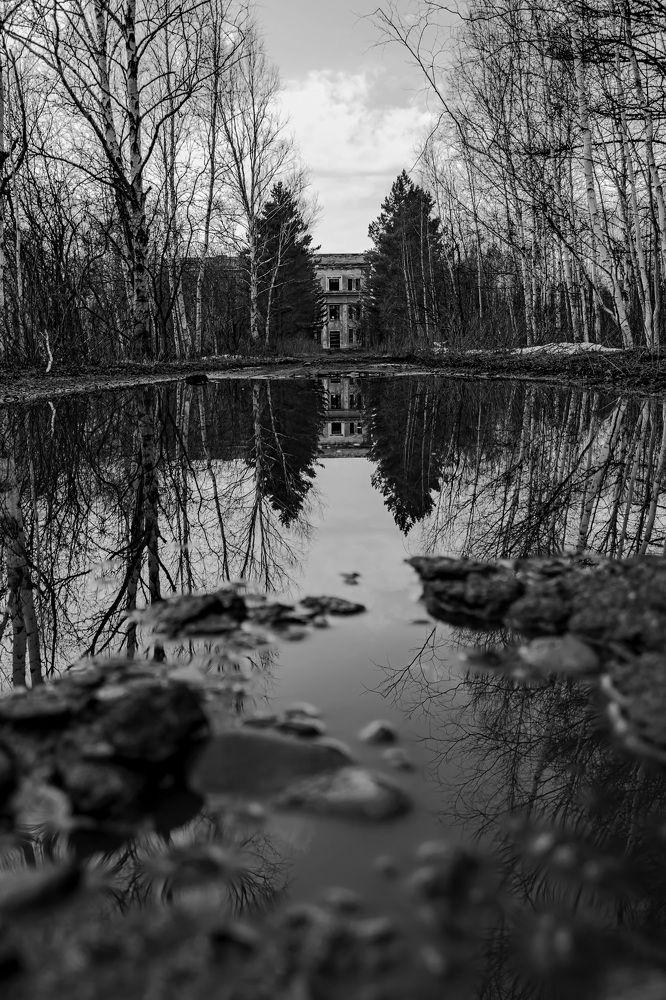 Photograph by Елена Ласун