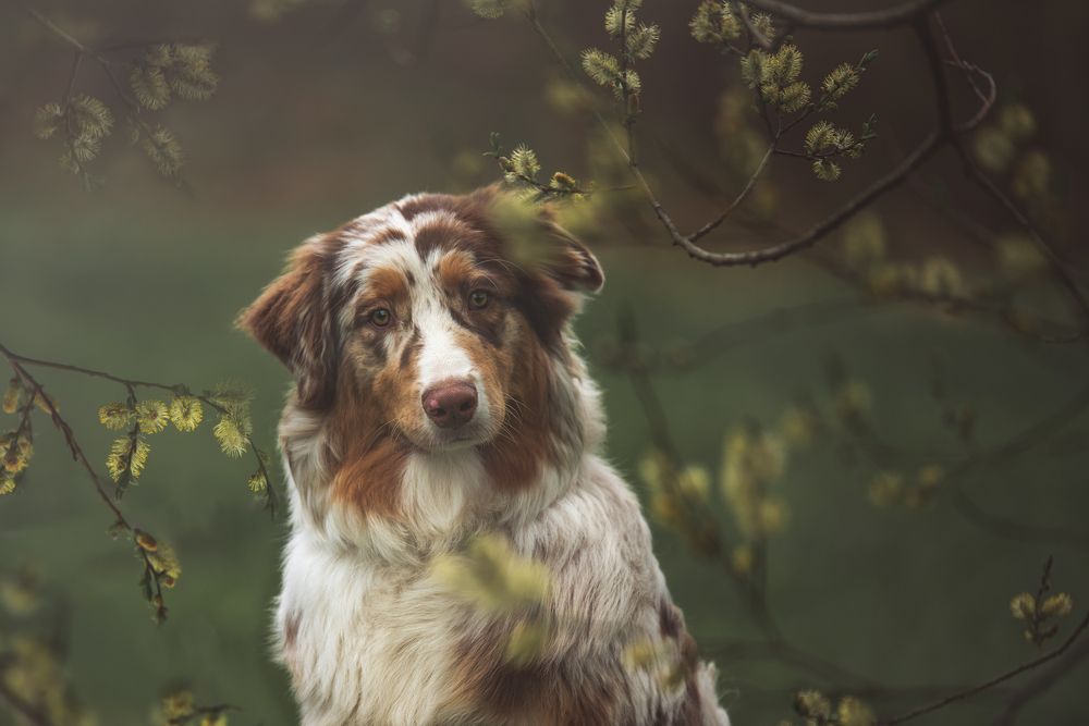 Photograph by Ирина Мороз