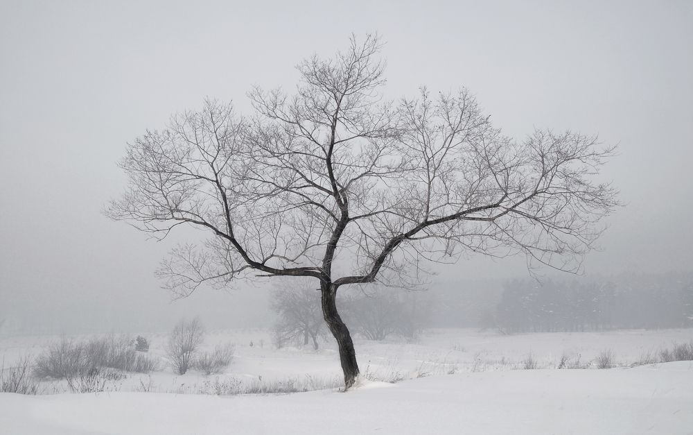 Photograph by Юрий Гау