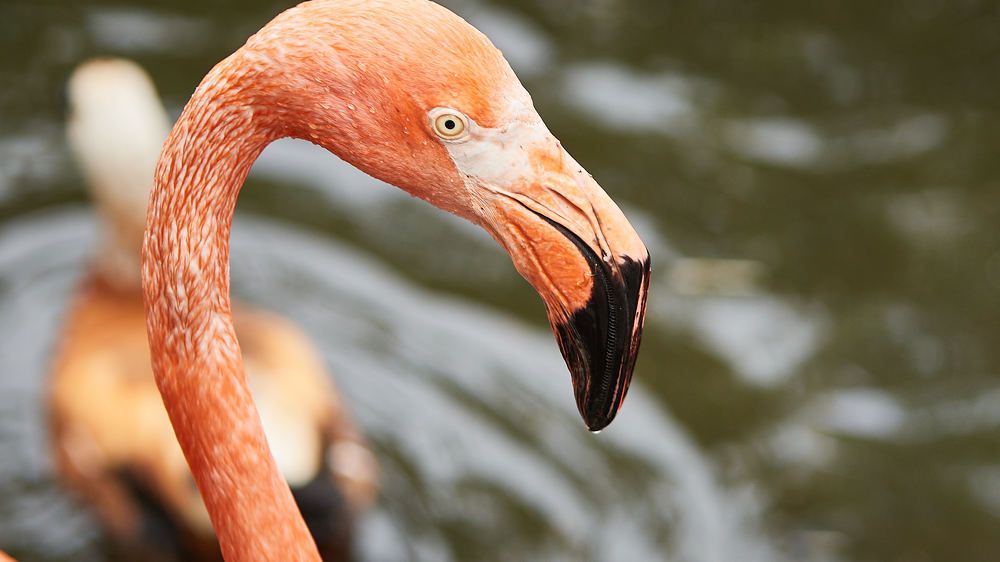 Photograph by Александр Батусов