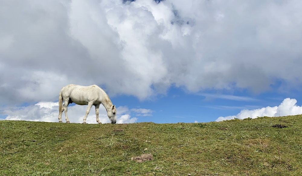 Photograph by Марина