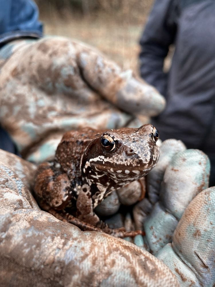 Фотография автора Истомина Елена