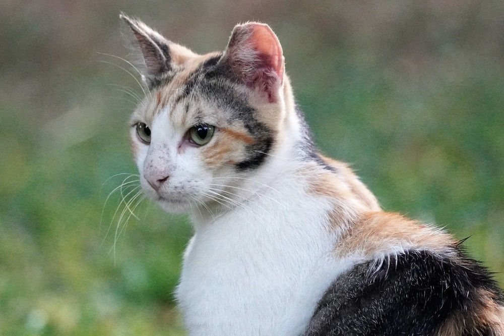 Photograph by Tamir Mor