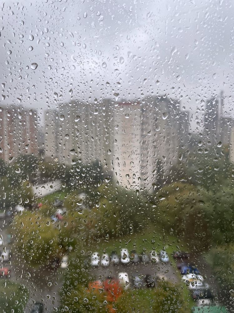 Фотография автора Юлия Недосекина