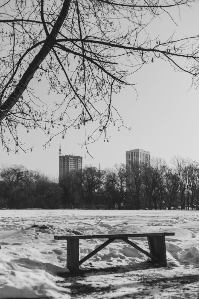 Скамья ожиданий.