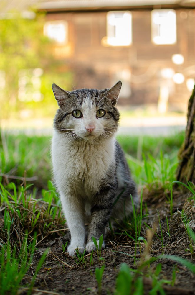 Photograph by Артём Шестаков