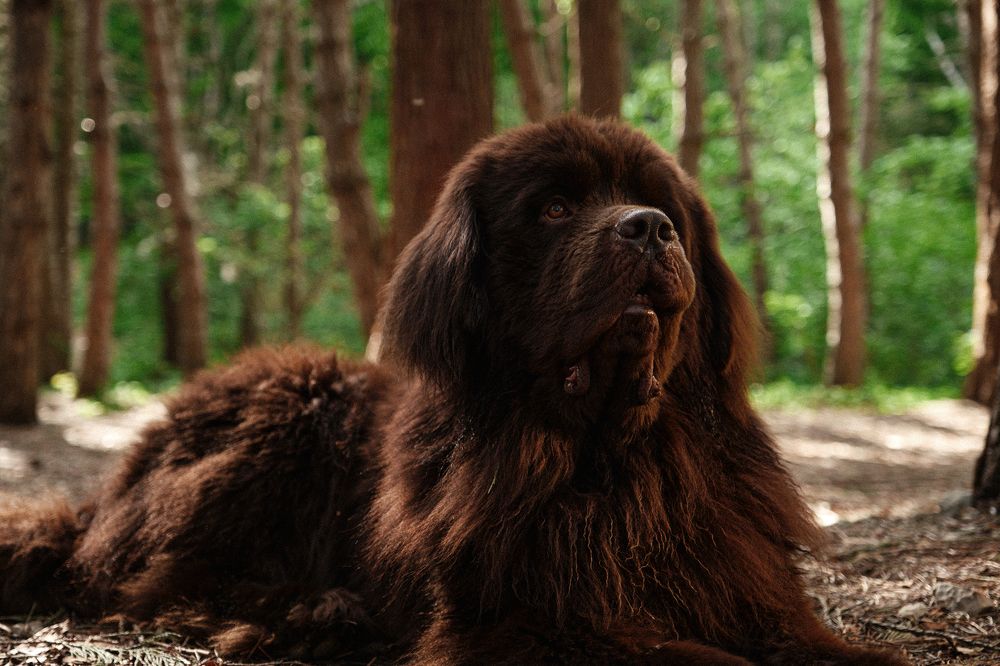 Photograph by Дмитрий Селинский