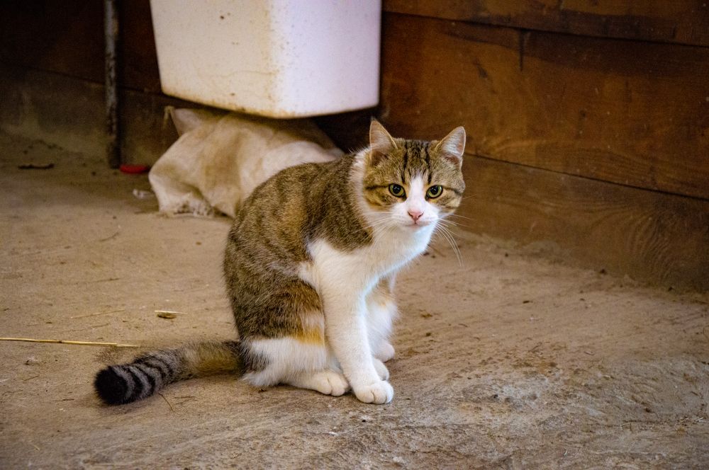 Photograph by Юлия Митюрникова