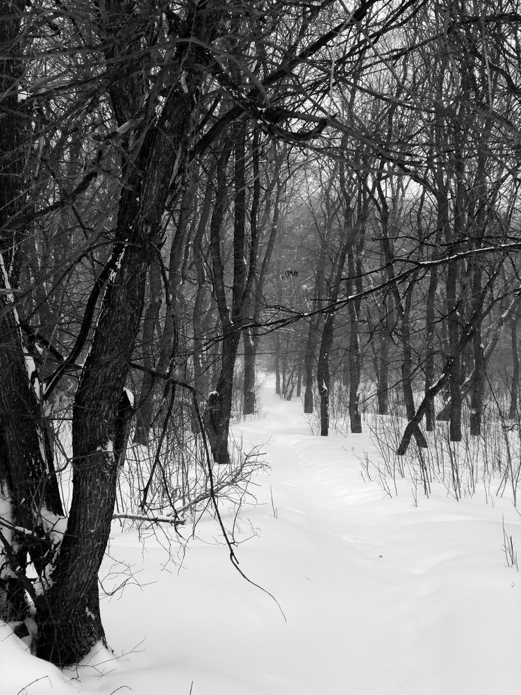 Photograph by Елена Змейкова