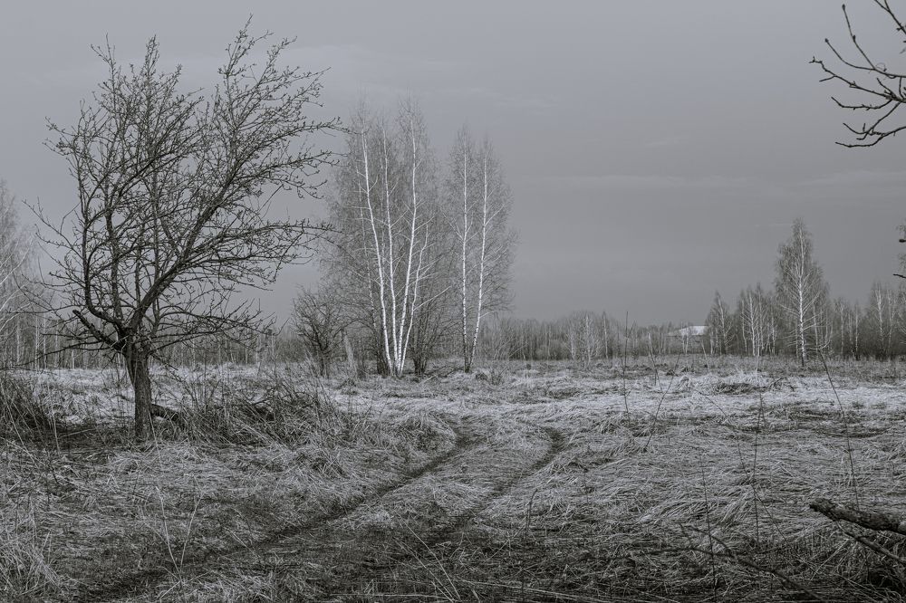 Photograph by Andrew Дёмин