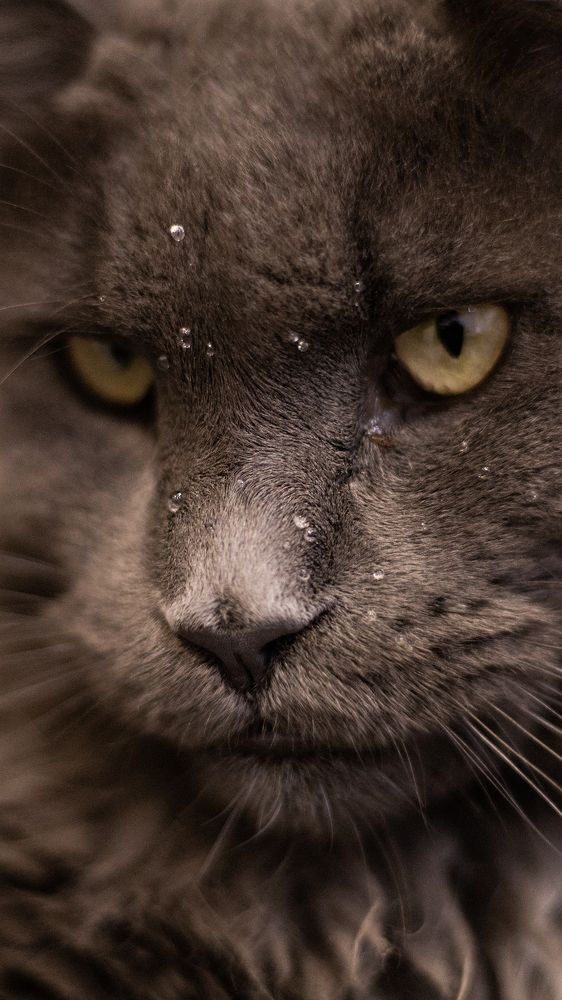 Photograph by Светлана Жорнова