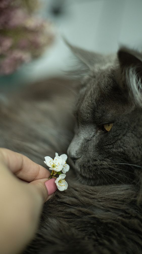 Photograph by Светлана Жорнова