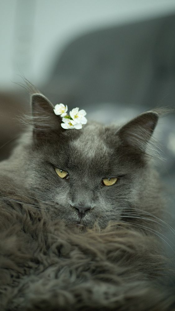 Photograph by Светлана Жорнова