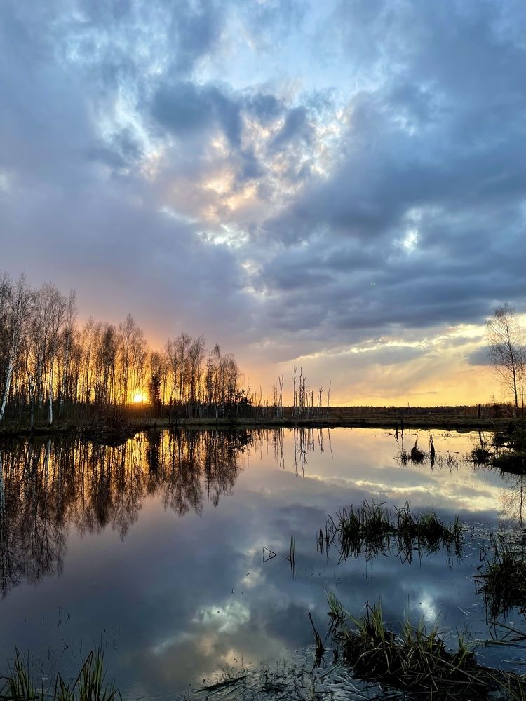 Photograph by Светлана Максимова
