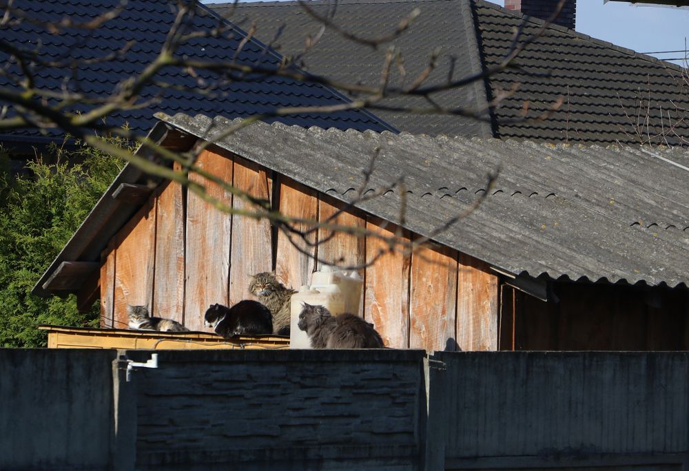 Photograph by Светлана Жорнова