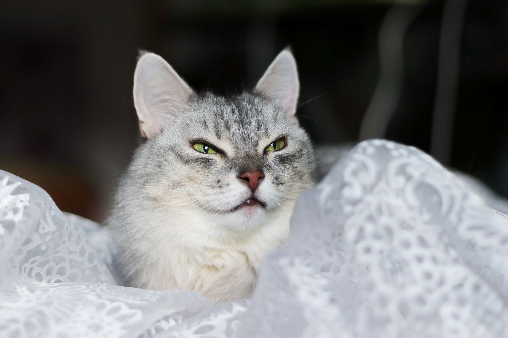 Photograph by Frolova Nataliya